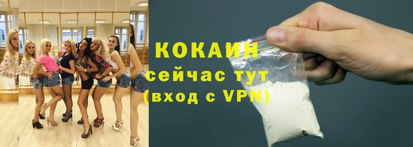 индика Навашино