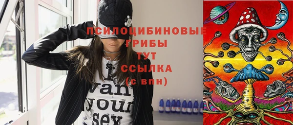 бошки Надым