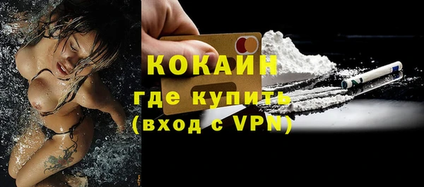 индика Навашино