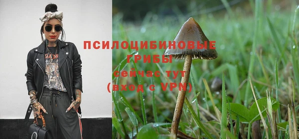 дживик Алексин