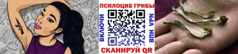 Галлюциногенные грибы Magic Shrooms наркота Салехард